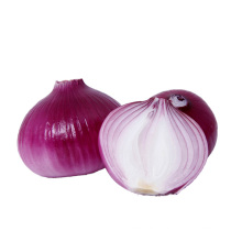 Factory Hot Sales onions bulk suppliers